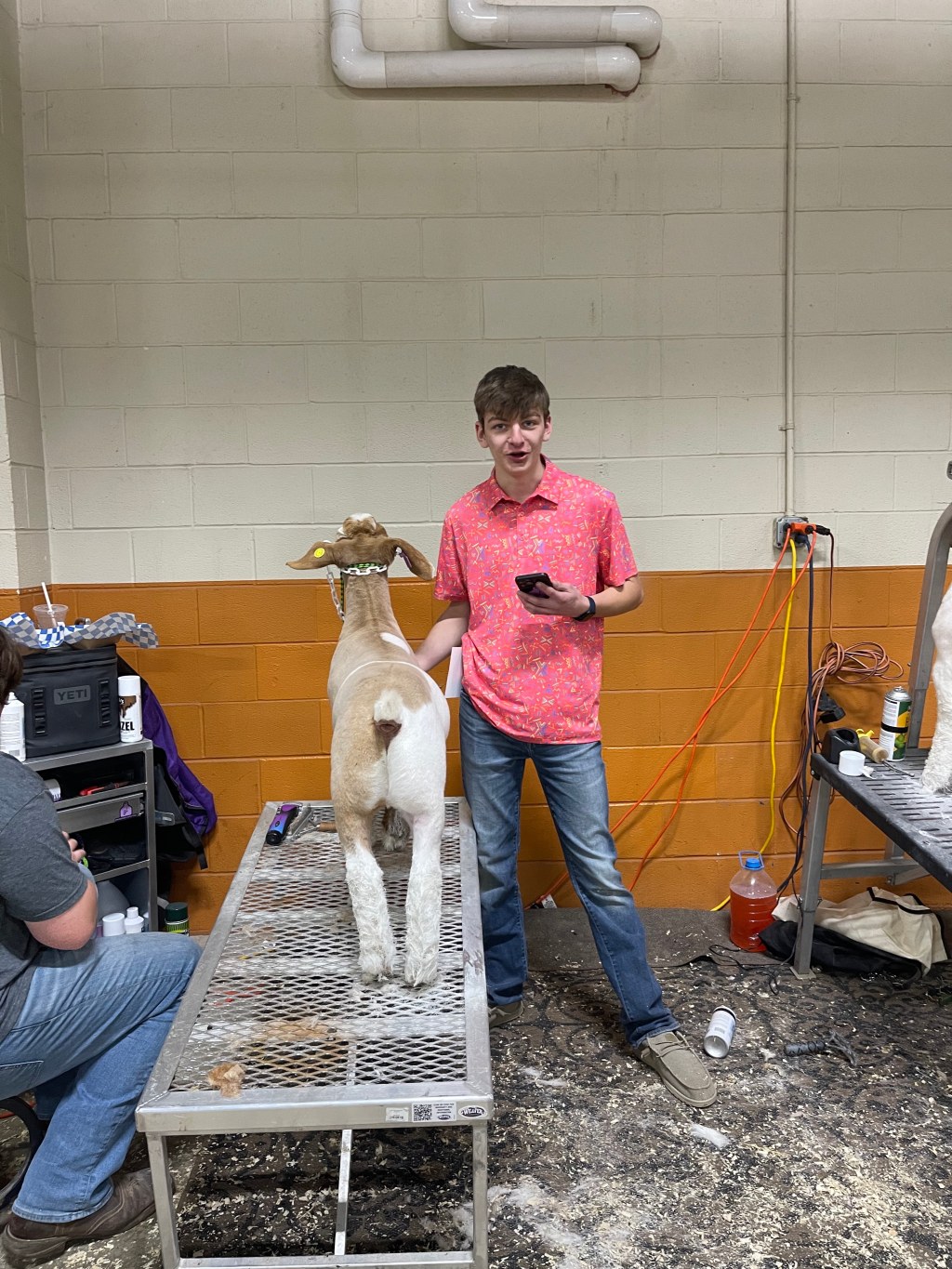 🐐🥤 Goat Show Life: Five Minutes, Two Classes, and a&nbsp;Milkshake