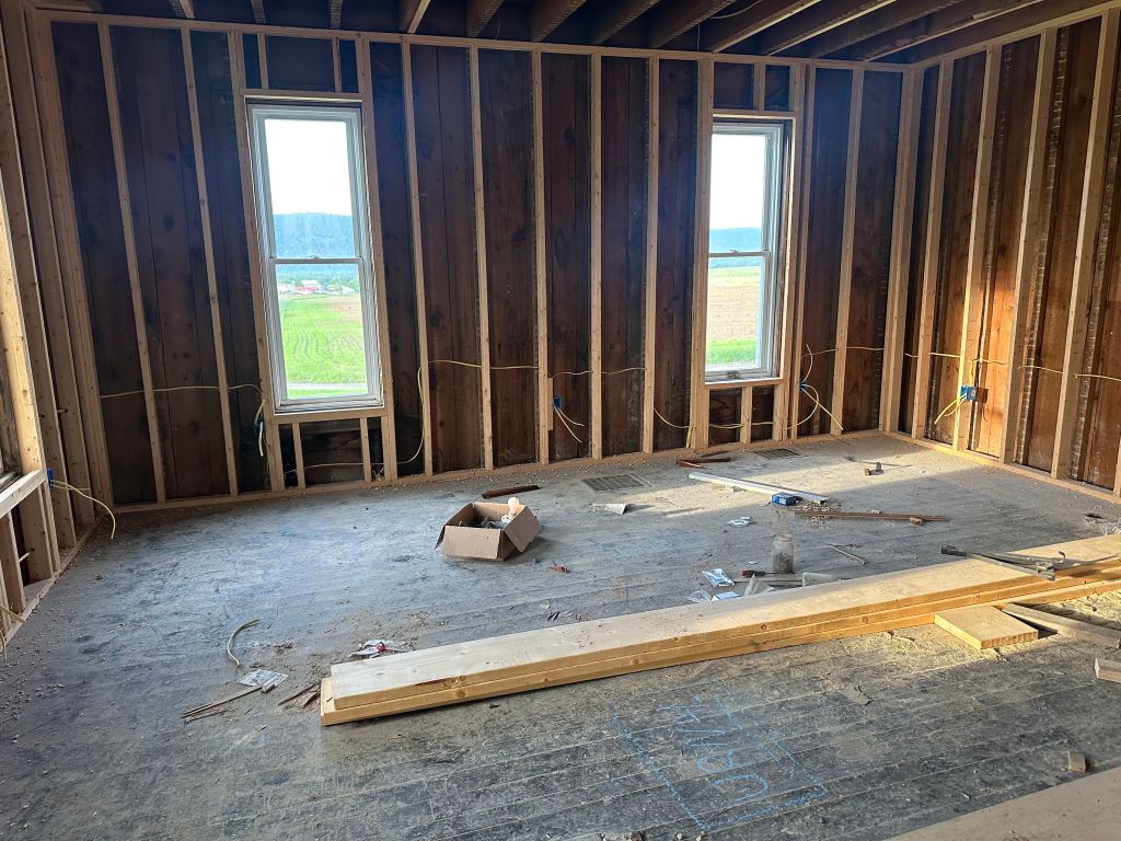 ✨ Life Lately: A Little Busy Behind the&nbsp;Scenes